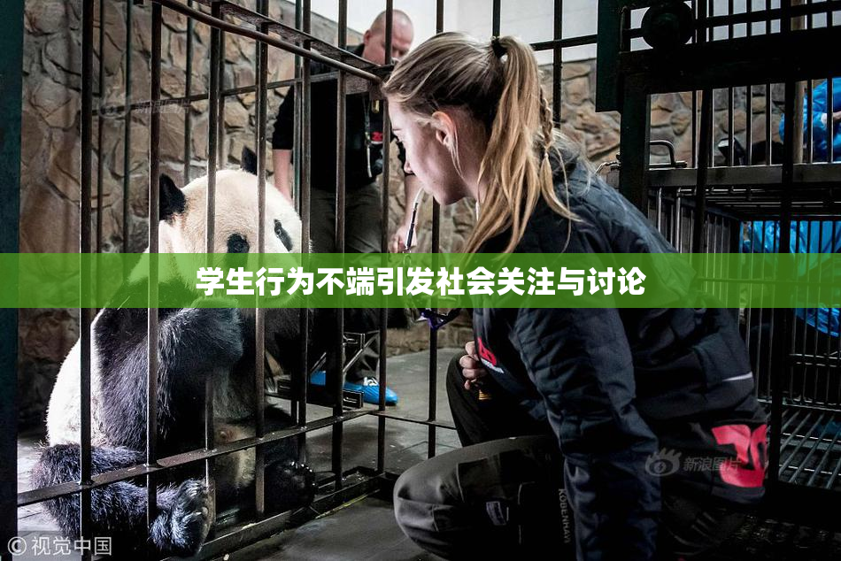 学生行为不端引发社会关注与讨论