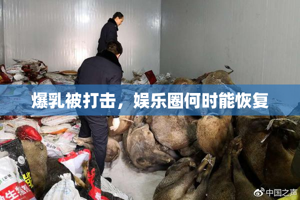 爆乳被打击，娱乐圈何时能恢复