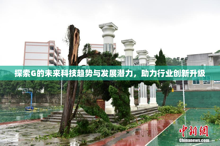 探索G的未来科技趋势与发展潜力，助力行业创新升级
