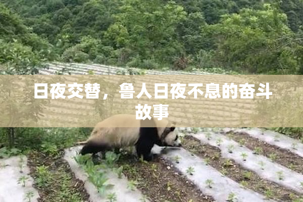日夜交替，鲁人日夜不息的奋斗故事