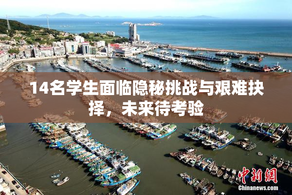 14名学生面临隐秘挑战与艰难抉择，未来待考验