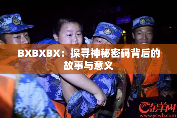 BXBXBX：探寻神秘密码背后的故事与意义