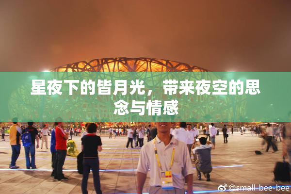 星夜下的皆月光，带来夜空的思念与情感