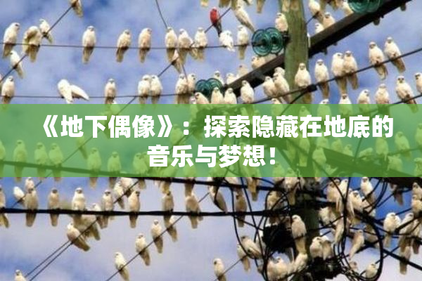 《地下偶像》：探索隐藏在地底的音乐与梦想！