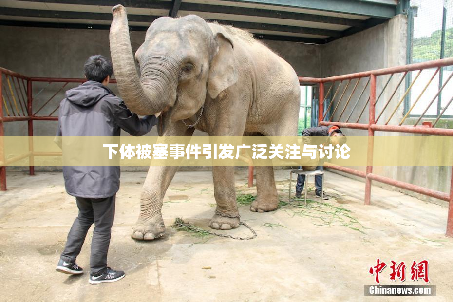 下体被塞事件引发广泛关注与讨论