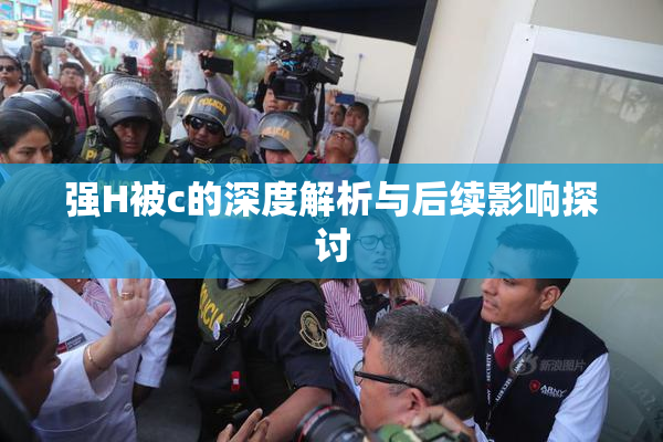 强H被c的深度解析与后续影响探讨