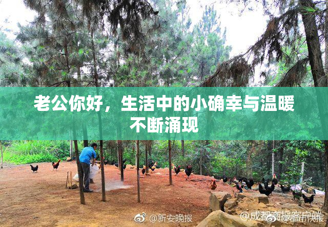 老公你好，生活中的小确幸与温暖不断涌现