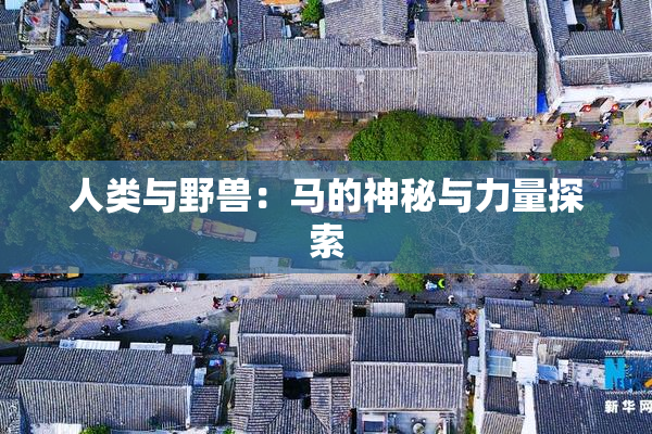 人类与野兽：马的神秘与力量探索