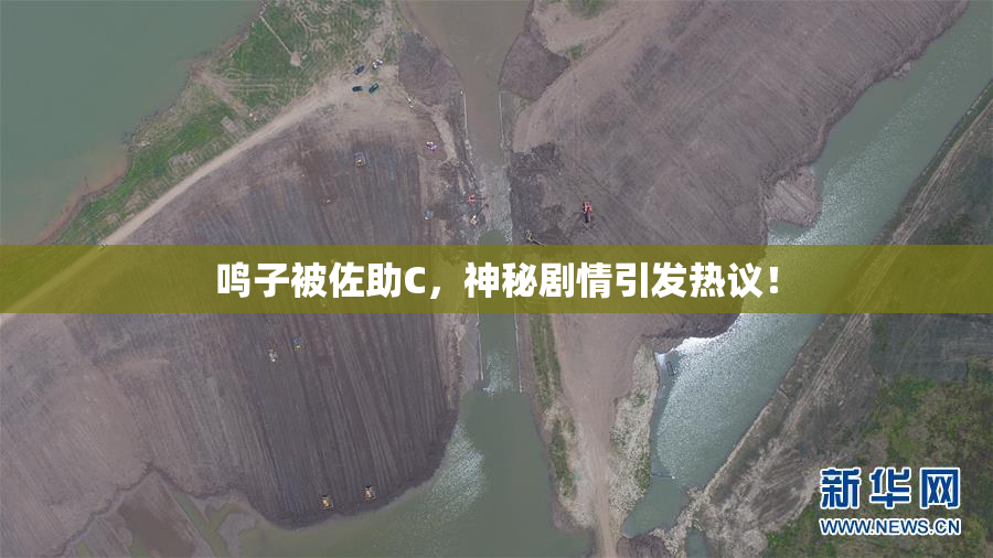 鸣子被佐助C，神秘剧情引发热议！