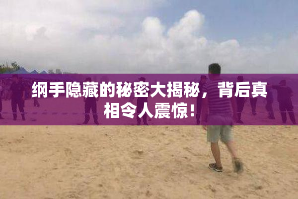 纲手隐藏的秘密大揭秘，背后真相令人震惊！
