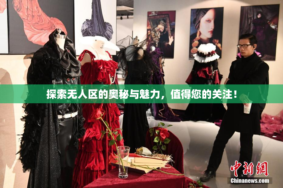 探索无人区的奥秘与魅力，值得您的关注！