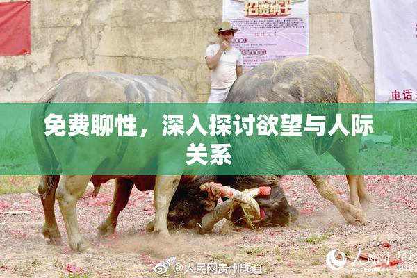 免费聊性，深入探讨欲望与人际关系