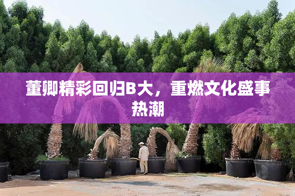 董卿精彩回归B大，重燃文化盛事热潮