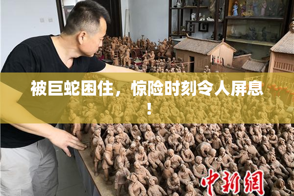 被巨蛇困住，惊险时刻令人屏息！