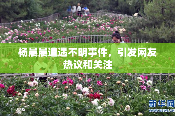 杨晨晨遭遇不明事件，引发网友热议和关注
