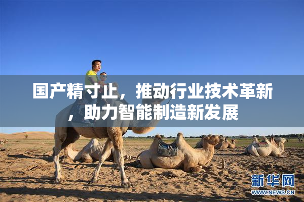 国产精寸止，推动行业技术革新，助力智能制造新发展