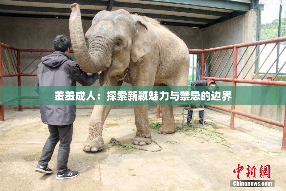 羞羞成人：探索新颖魅力与禁忌的边界