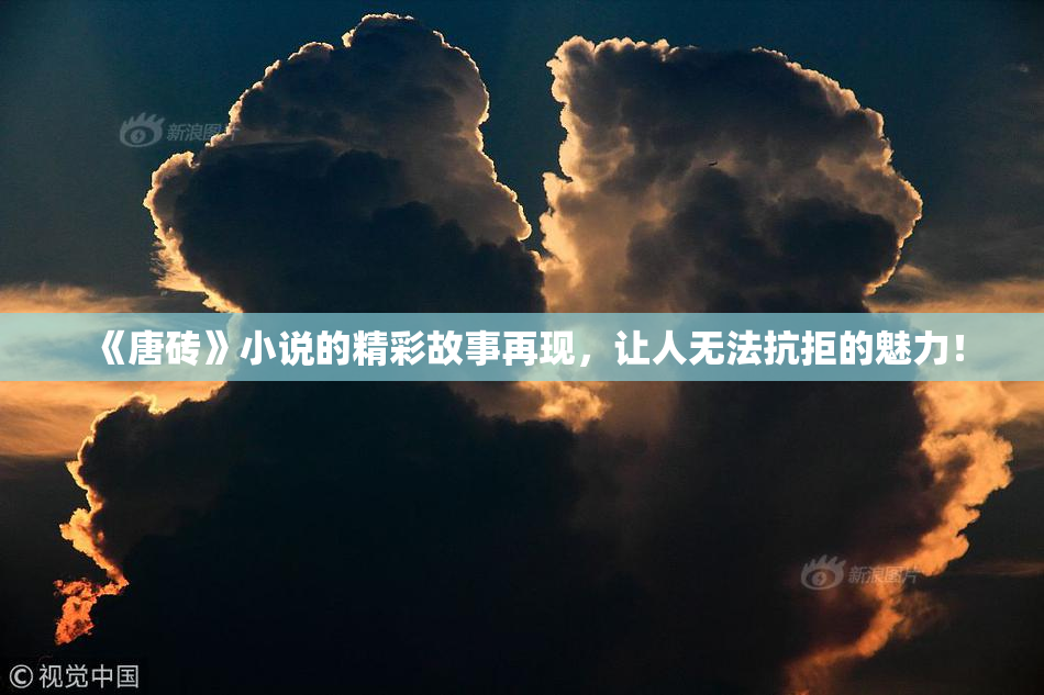 《唐砖》小说的精彩故事再现，让人无法抗拒的魅力！