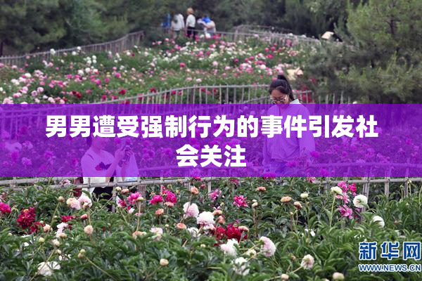 男男遭受强制行为的事件引发社会关注