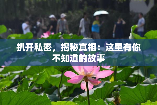 扒开私密，揭秘真相：这里有你不知道的故事