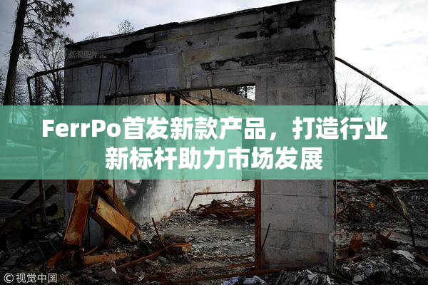 FerrPo首发新款产品，打造行业新标杆助力市场发展