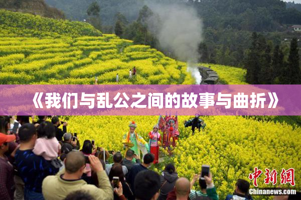 《我们与乱公之间的故事与曲折》