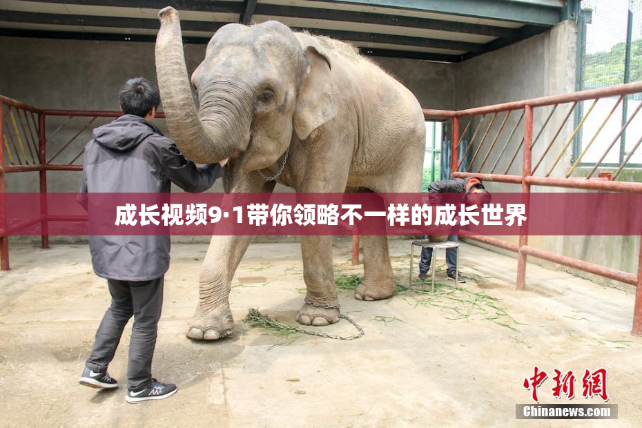 成长视频9·1带你领略不一样的成长世界