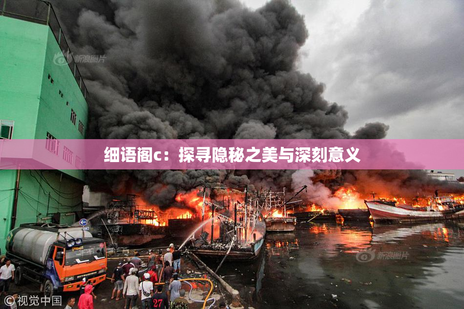 细语阁c：探寻隐秘之美与深刻意义