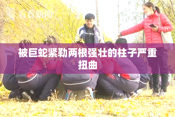 被巨蛇紧勒两根强壮的柱子严重扭曲
