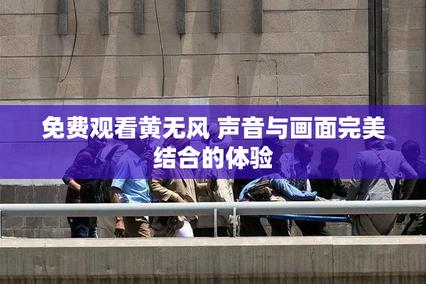 免费观看黄无风 声音与画面完美结合的体验