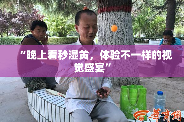 “晚上看秒湿黄，体验不一样的视觉盛宴”