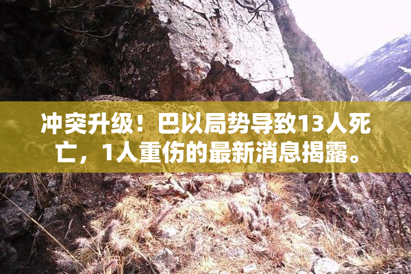 冲突升级！巴以局势导致13人死亡，1人重伤的最新消息揭露。