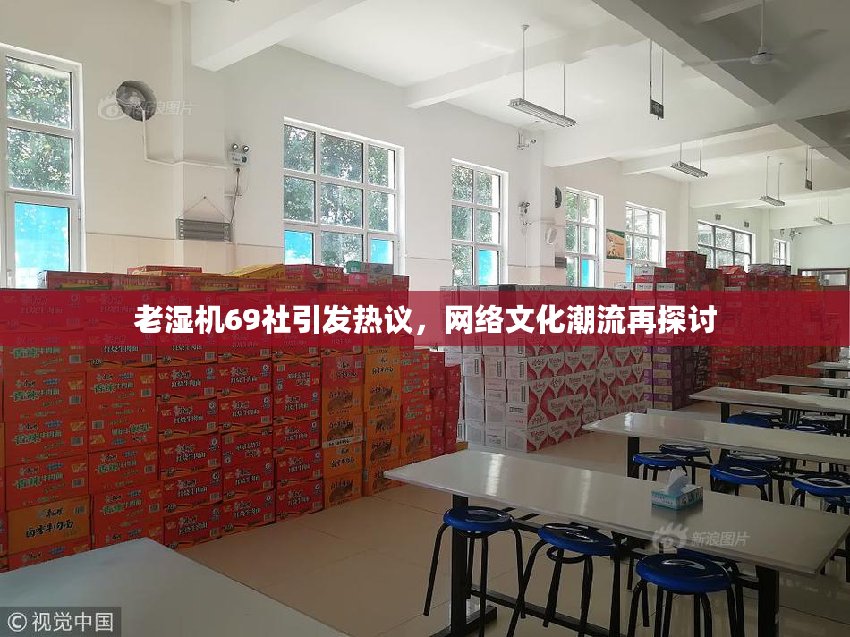 老湿机69社引发热议，网络文化潮流再探讨
