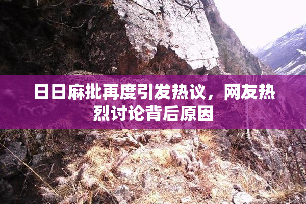 日日麻批再度引发热议，网友热烈讨论背后原因