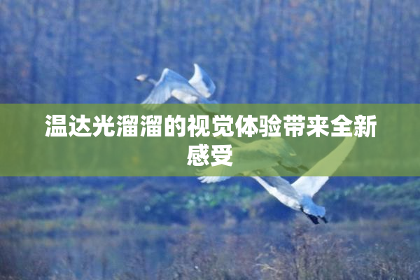 温达光溜溜的视觉体验带来全新感受