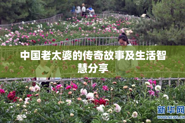 中国老太婆的传奇故事及生活智慧分享