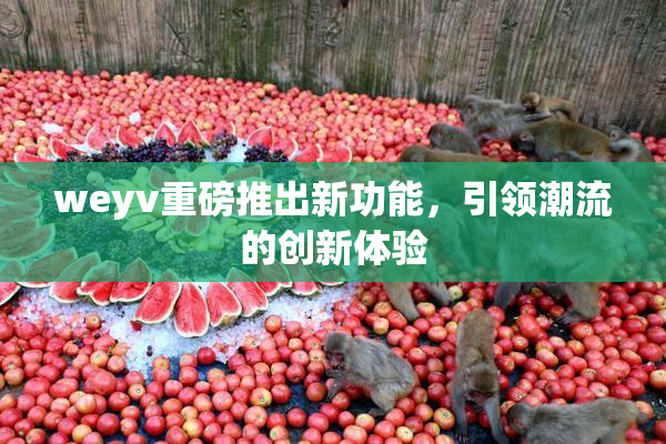weyv重磅推出新功能，引领潮流的创新体验