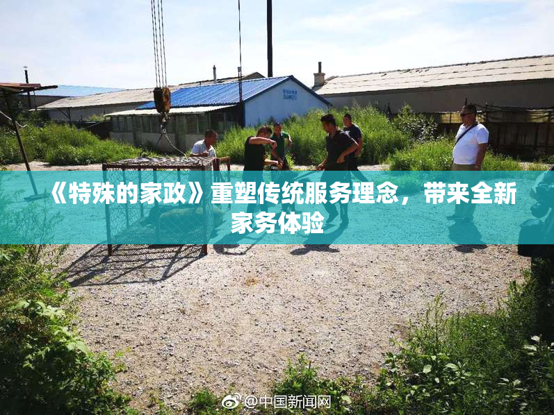 《特殊的家政》重塑传统服务理念，带来全新家务体验