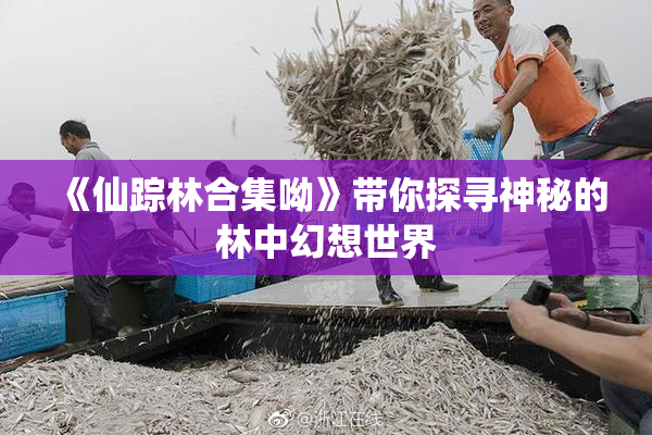 《仙踪林合集呦》带你探寻神秘的林中幻想世界