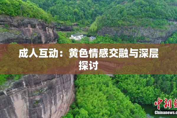 成人互动：黄色情感交融与深层探讨