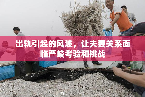 出轨引起的风波，让夫妻关系面临严峻考验和挑战