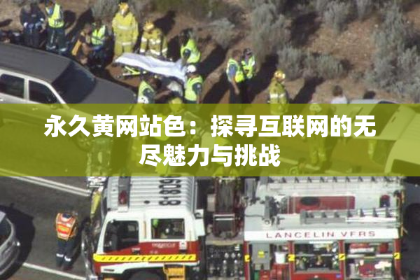 永久黄网站色：探寻互联网的无尽魅力与挑战