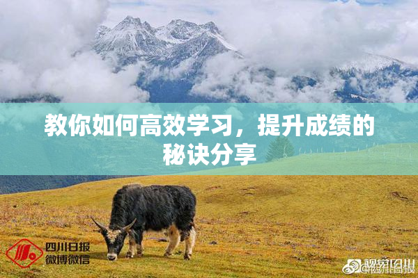 教你如何高效学习，提升成绩的秘诀分享