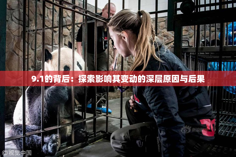 9.1的背后：探索影响其变动的深层原因与后果