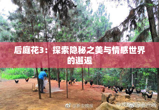 后庭花3：探索隐秘之美与情感世界的邂逅