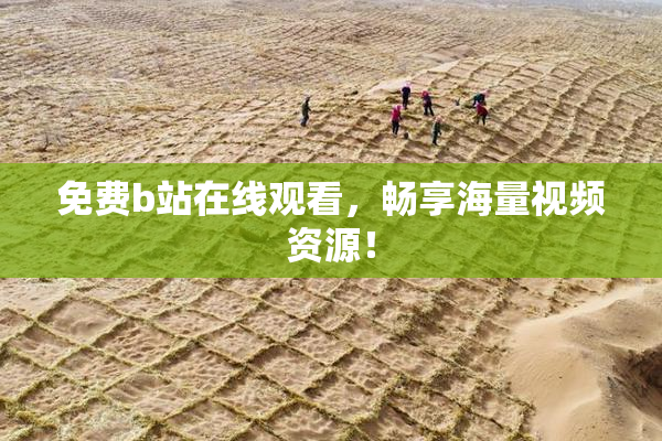 免费b站在线观看，畅享海量视频资源！