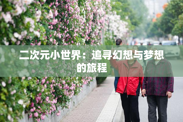 二次元小世界：追寻幻想与梦想的旅程