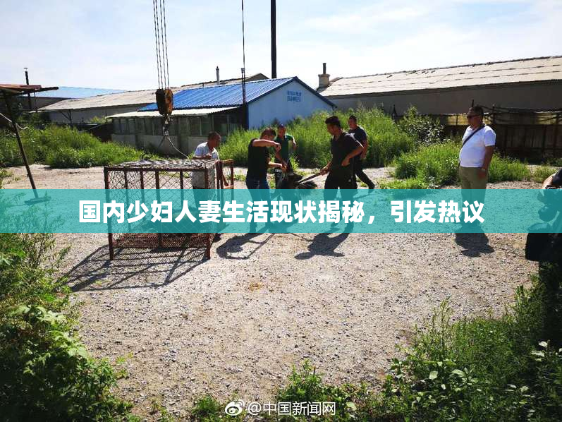 国内少妇人妻生活现状揭秘，引发热议