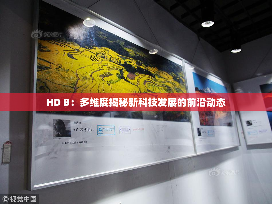HD B：多维度揭秘新科技发展的前沿动态