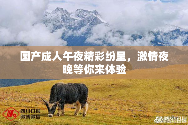 国产成人午夜精彩纷呈，激情夜晚等你来体验